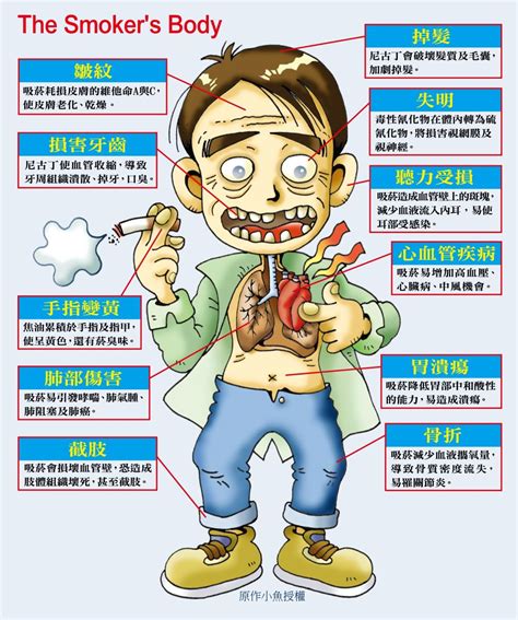 抽煙對身體的危害|吸菸的壞處 – 中山醫訊